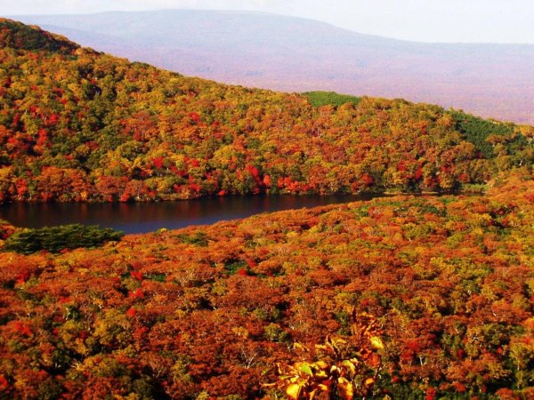 камчатка осень