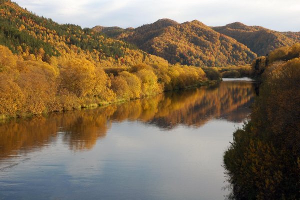 кумарский утес амурская область