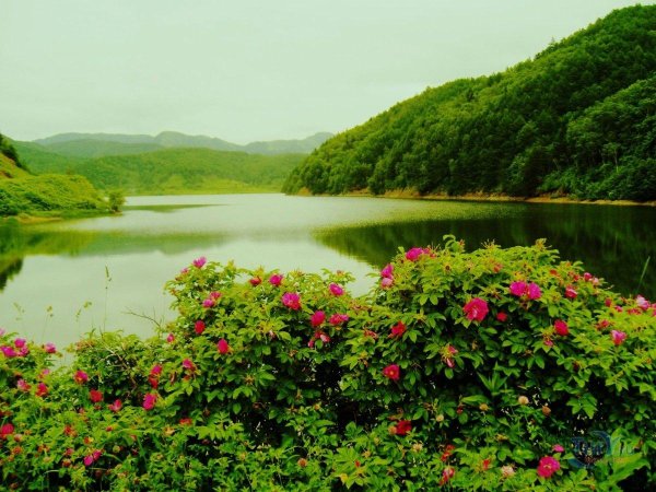 красива природа