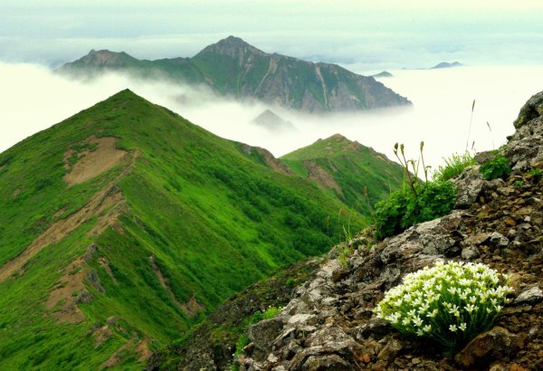 сахалинская область природа