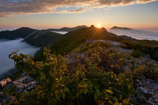 сопки дальнего востока