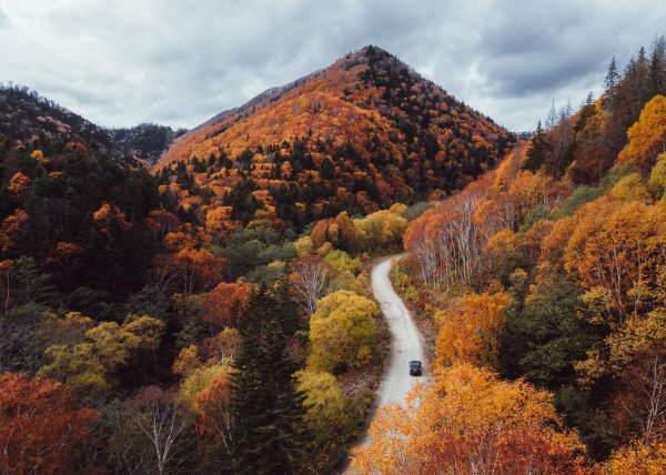 лавовое плато янкито итуруп
