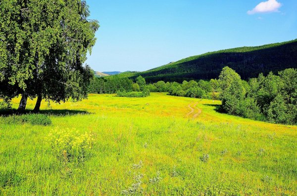 лесостепь башкортостана