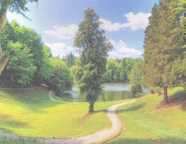 пейзажи летние