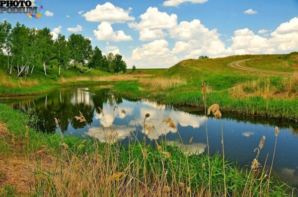 река тарбуга омская область