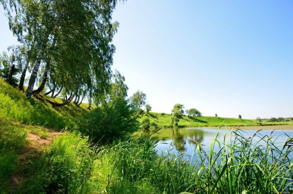 ефимьевское озеро нижегородская