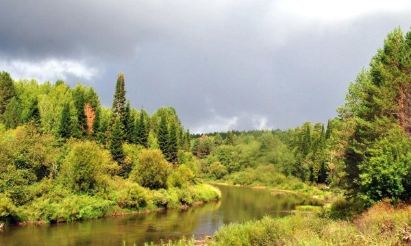волговятский экономический район природа