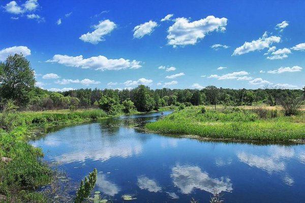 река битюг шестаково