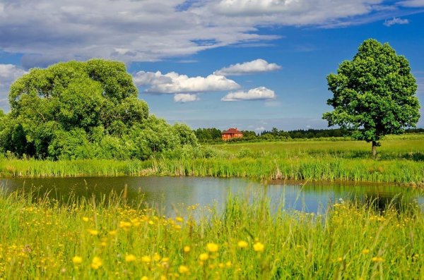 природа ярославской области