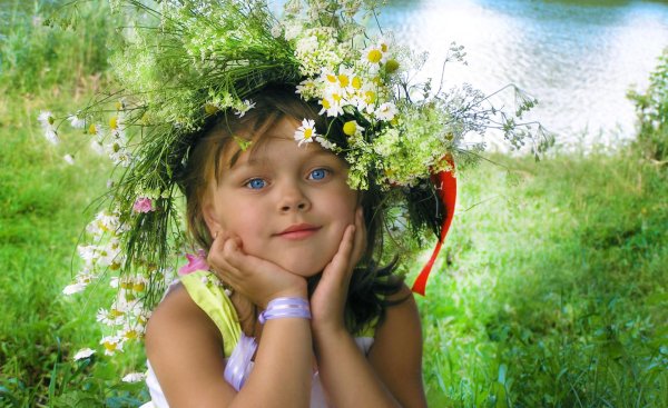 венок из ромашек