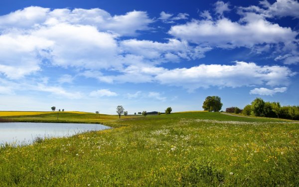 поле равнина белоруссия