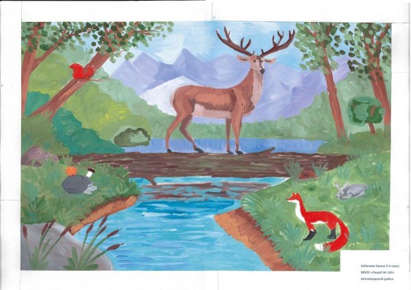 рисунок заповедник