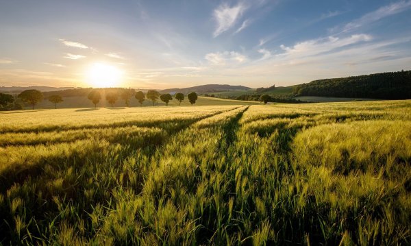 поля украины