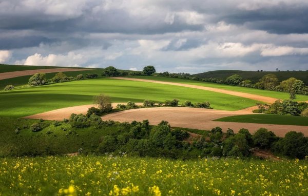 луговой пастбищный агроландшафт