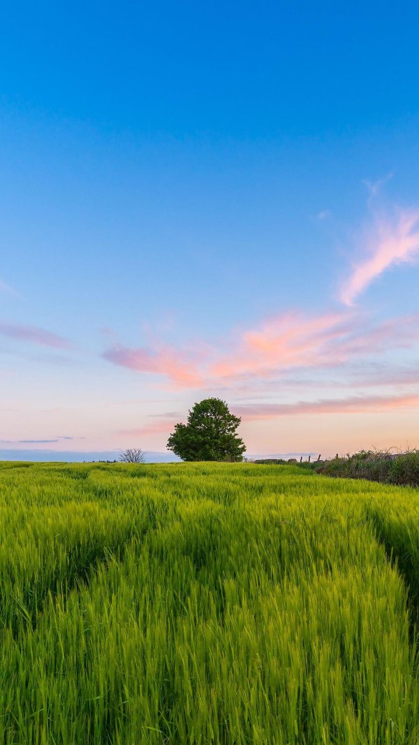 природа горизонт