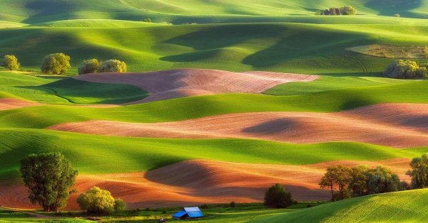 холмы palouse сша