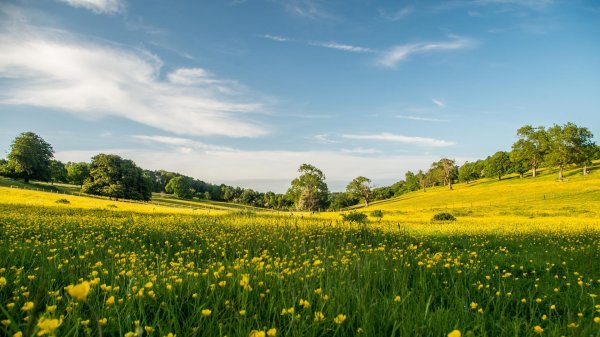 палусские луга