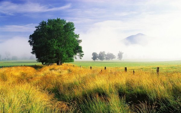 пейзажи полей