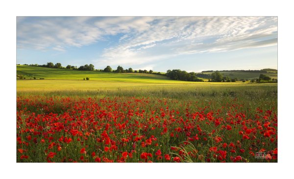 палусские луга