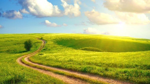 дорога через поле