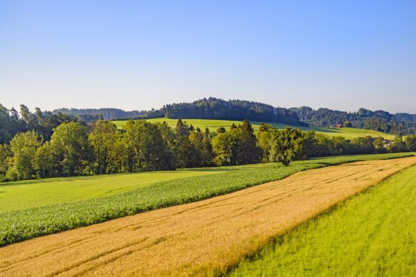 холмистая равнина тоскана