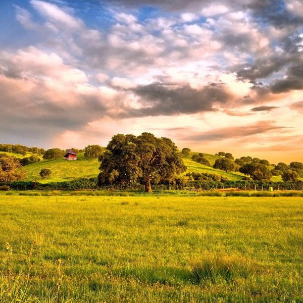 красивейшие пейзажи