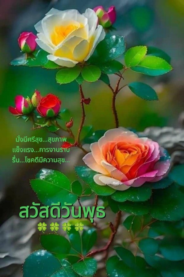 красивая цветок