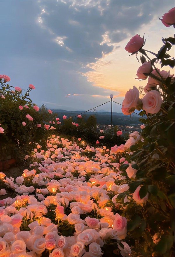 фотографии красивые