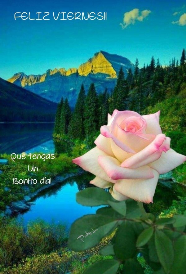 пейзажи с цветами