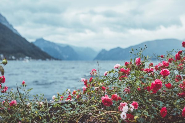 телецкое озеро лето