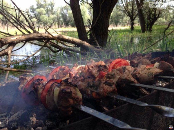 лето шашлыки