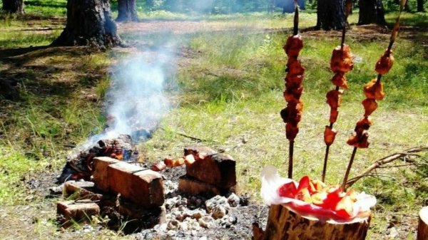 шашлык в лесу