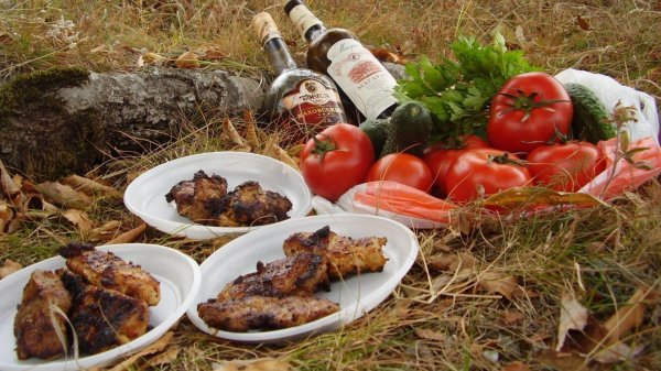 шашлык и коньяк