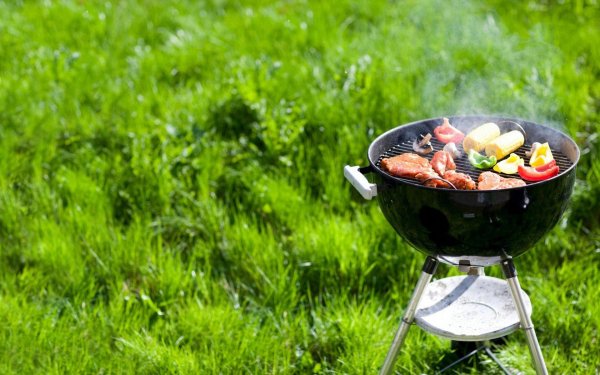 день пикника