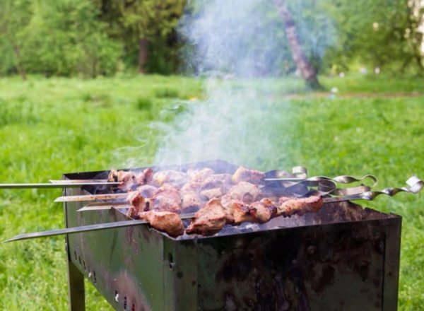 шашлык в лесу