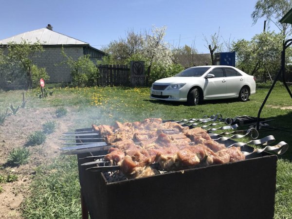 мангал с шашлыками