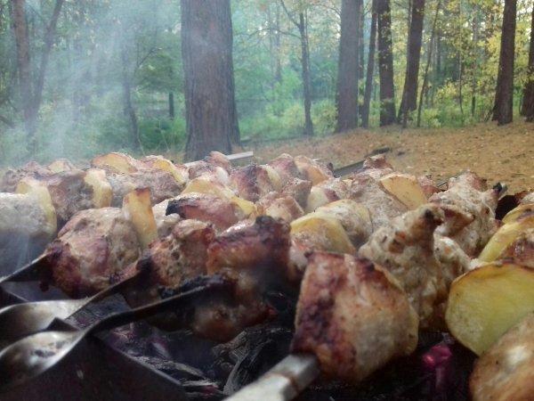 шашлык в лесу