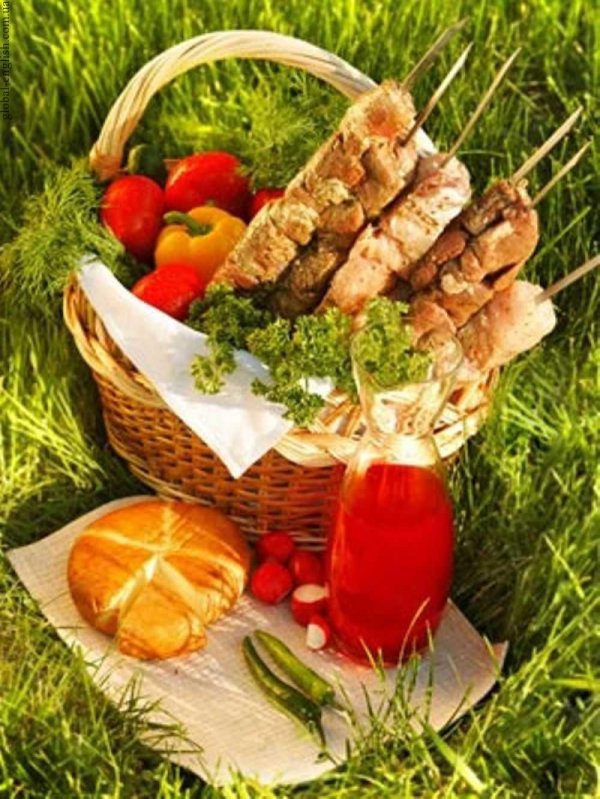 пикник шашлык