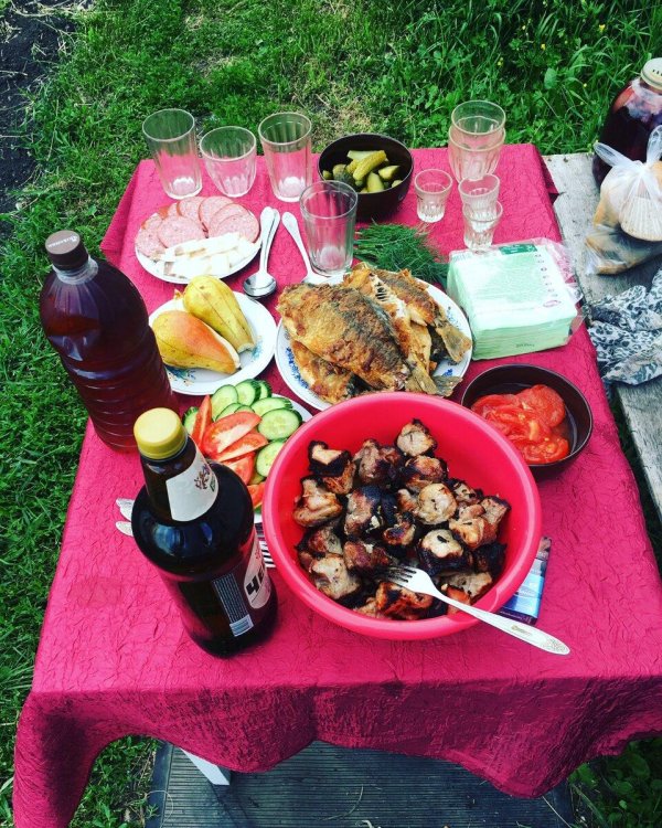 пикник с шашлыком
