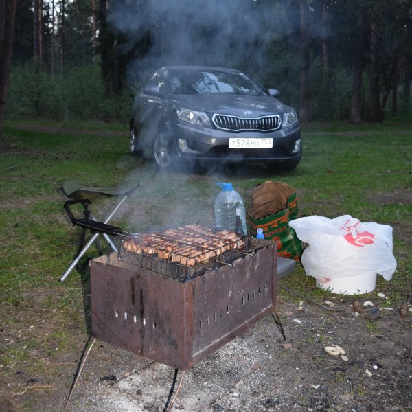 шашлык в лесу