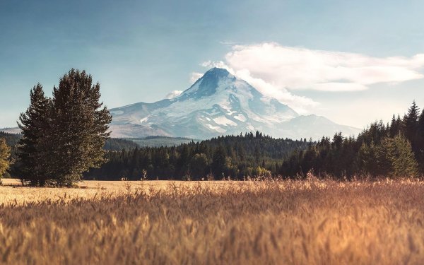 маунт худ орегон