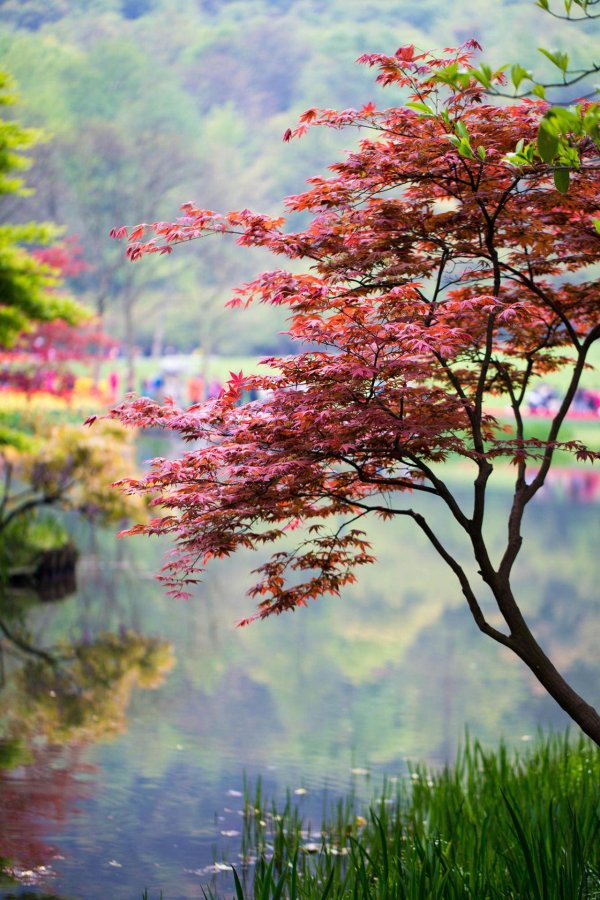 пейзажи красивые