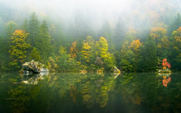 осень отражение в воде