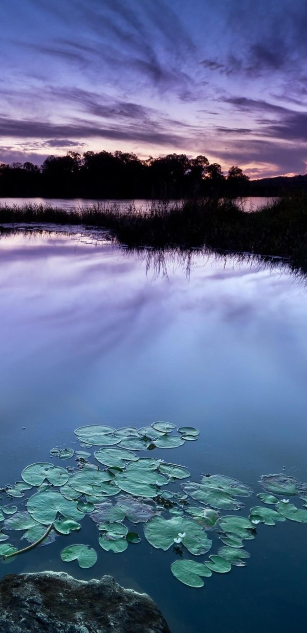пейзажи с водой