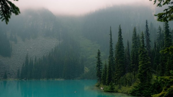 акадийские леса канада