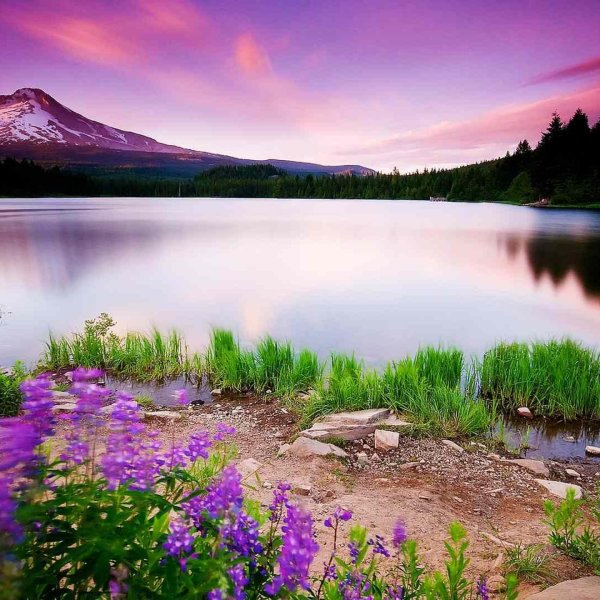 красивейшие пейзажи