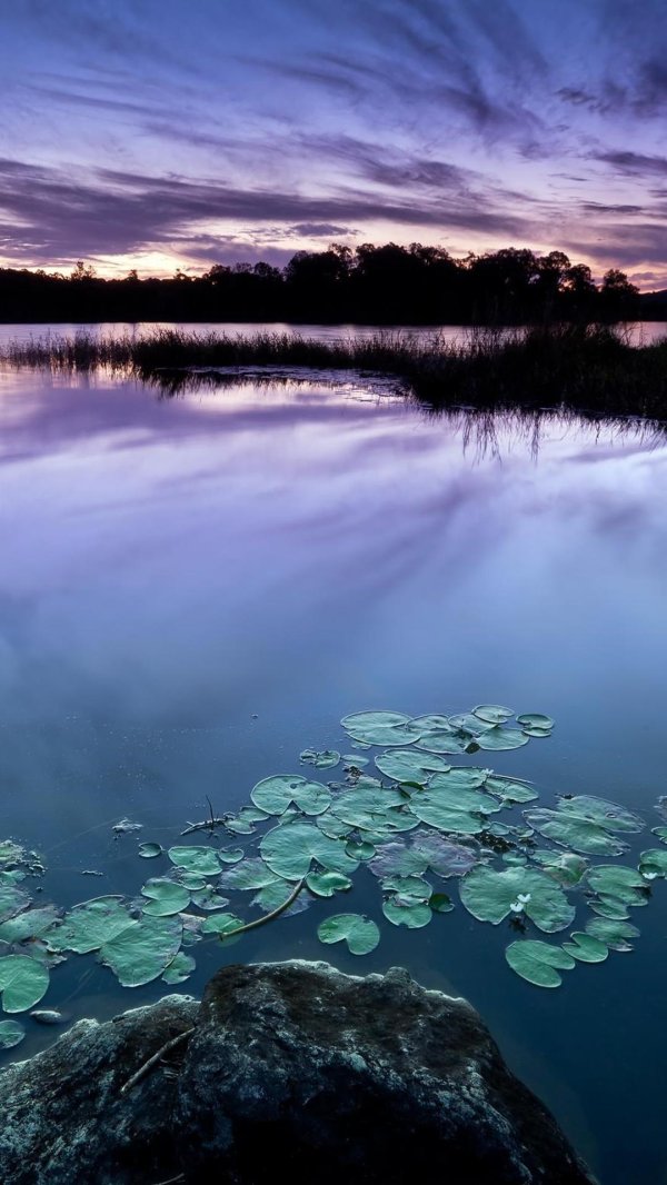 закат над озером