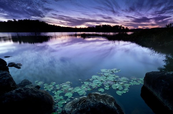 пейзажи с водой