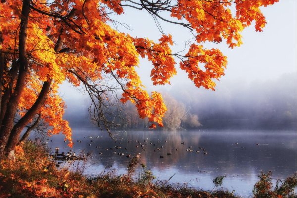 пейзажи осенние