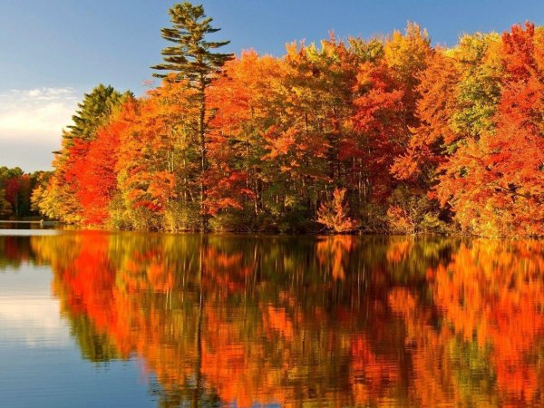 осенние краски природы